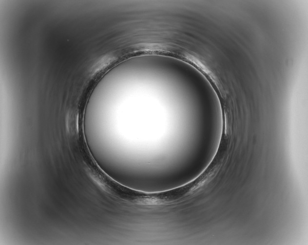 X0000085760253200703161125