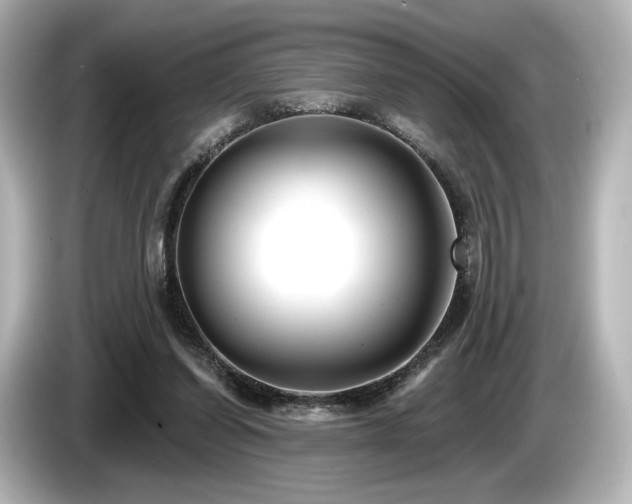 X0000085760254200703161125