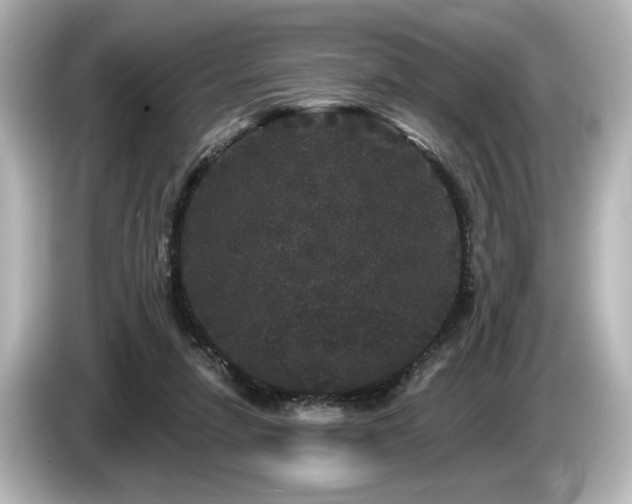 X0000085760258200703161125