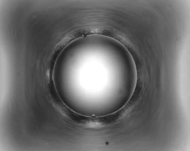 X0000085760262200703161125