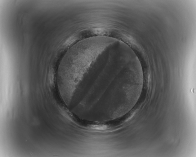 X0000085760266200703161125