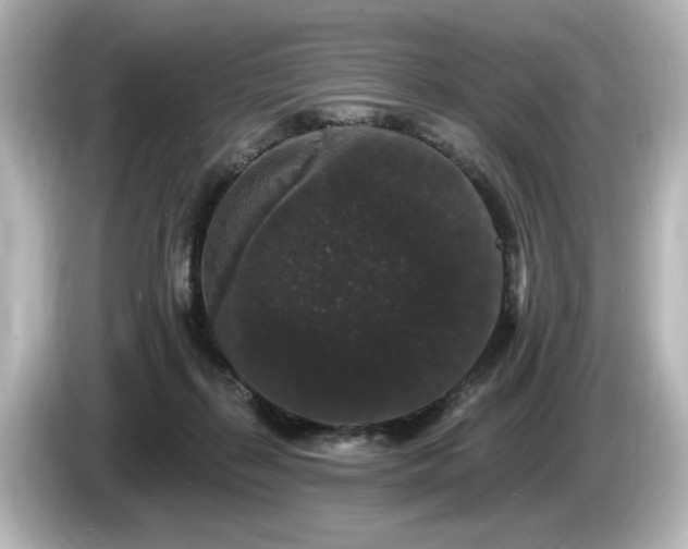 X0000085760267200703161125
