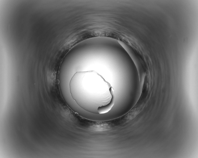 X0000085760278200703161125