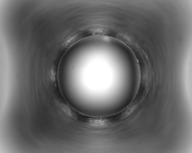 X0000085760282200703161125