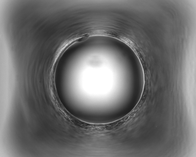 X0000085760289200703161125