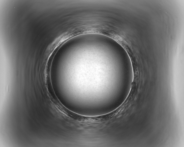X0000085760290200703161125