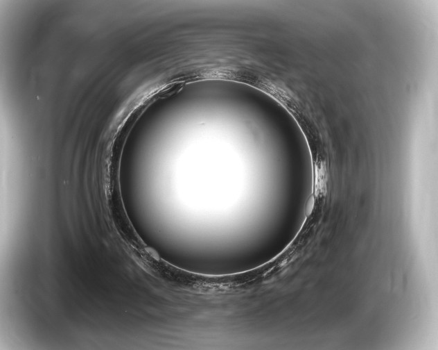X0000085760291200703161125