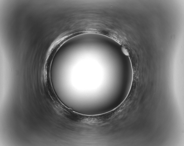 X0000085760294200703161125
