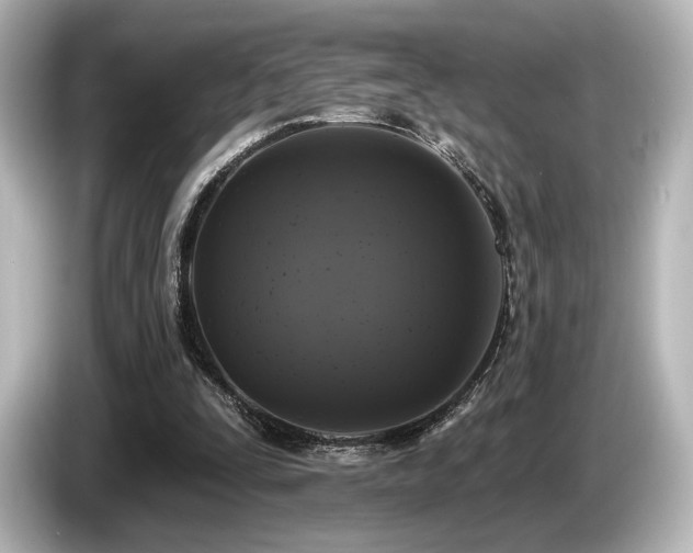 X0000085760295200703161125