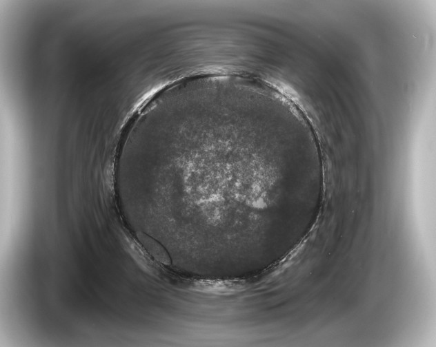 X0000085760297200703161124