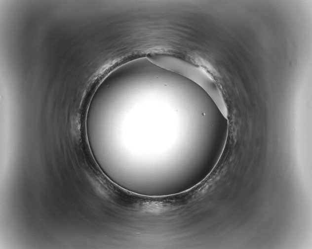 X0000085760298200703161124