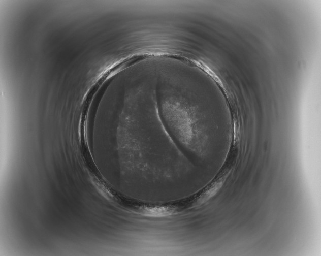 X0000085760301200703161124