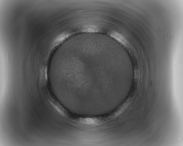 X0000085760302200703161124