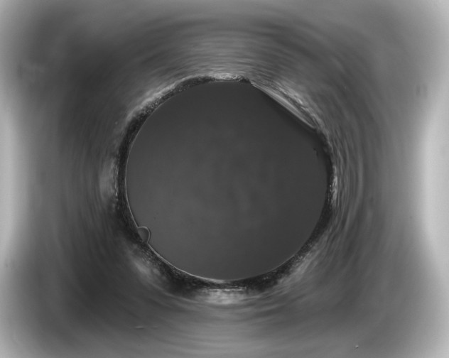 X0000085760303200703161124