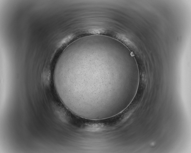 X0000085760304200703161124