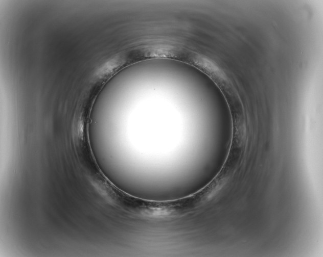 X0000085760310200703161124
