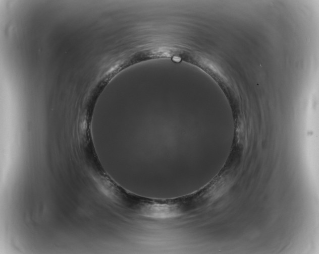 X0000085760314200703161124