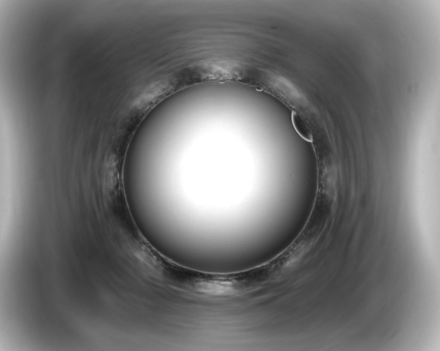 X0000085760318200703161124