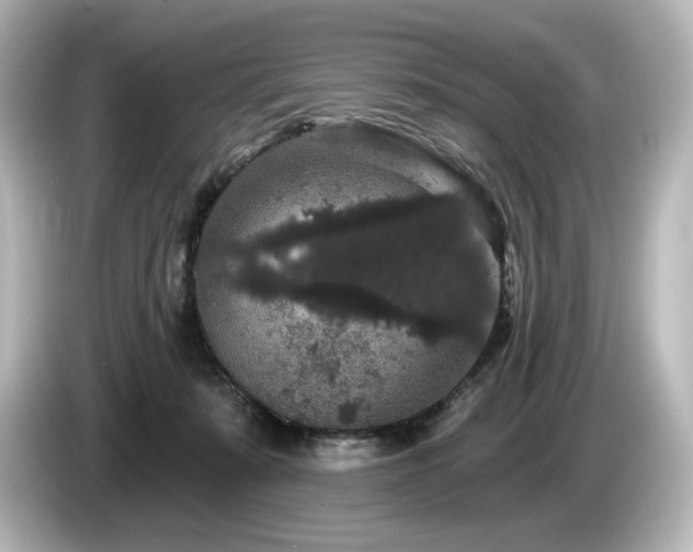 X0000085760319200703161124