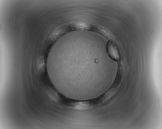 X0000085760320200703161124