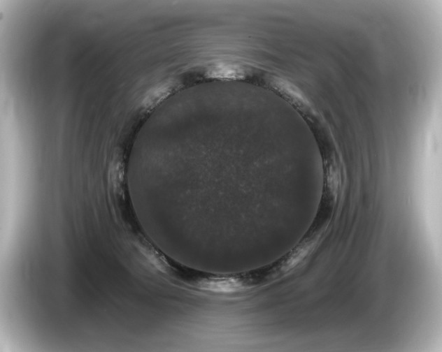 X0000085760322200703161124