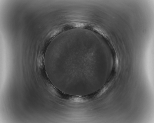 X0000085760325200703161124