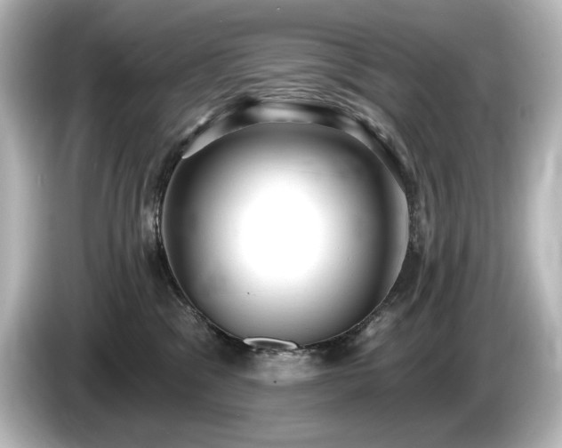 X0000085760329200703161124
