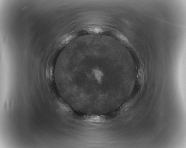 X0000085760330200703161124