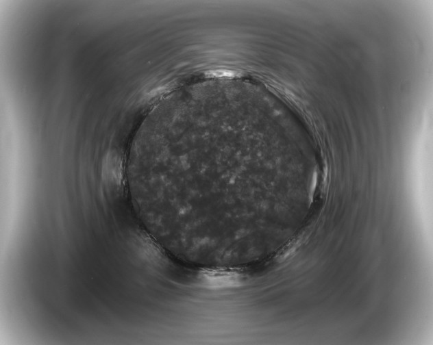 X0000085760331200703161124