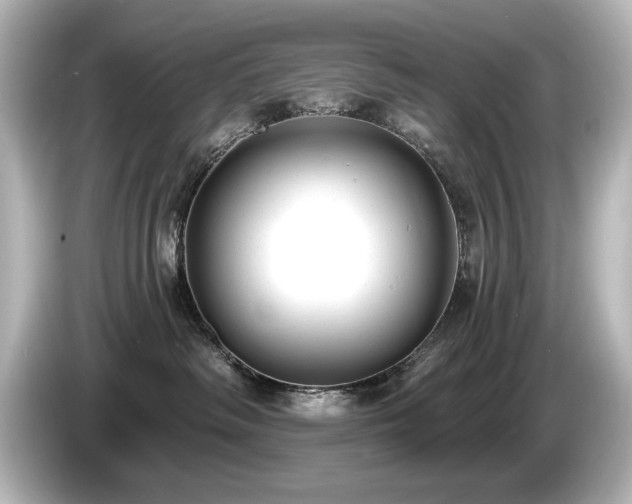X0000085760334200703161124