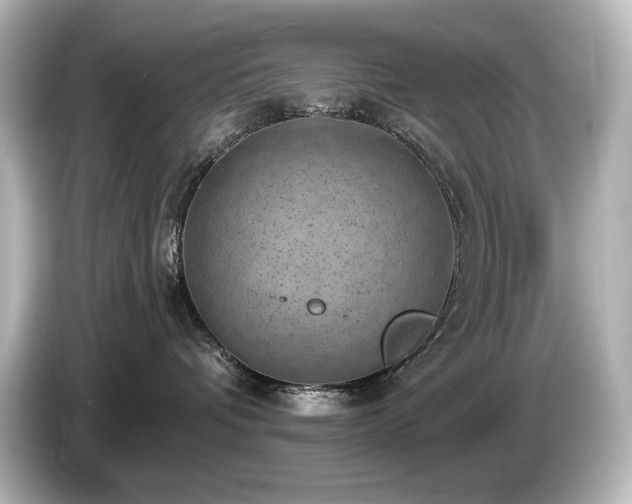 X0000085760336200703161124