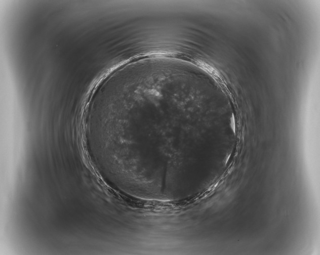 X0000085760337200703161123