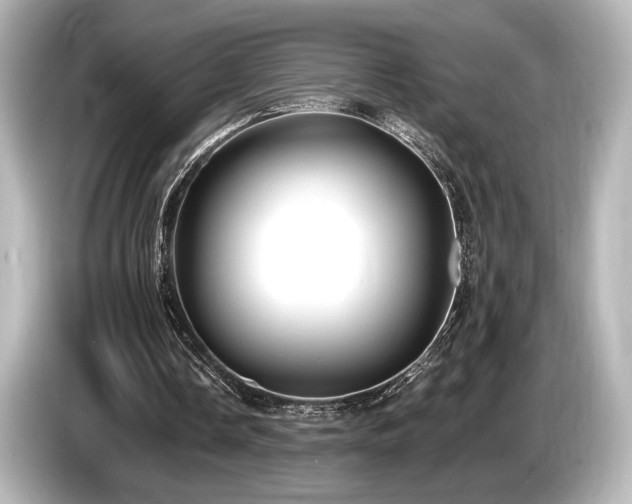 X0000085760338200703161123