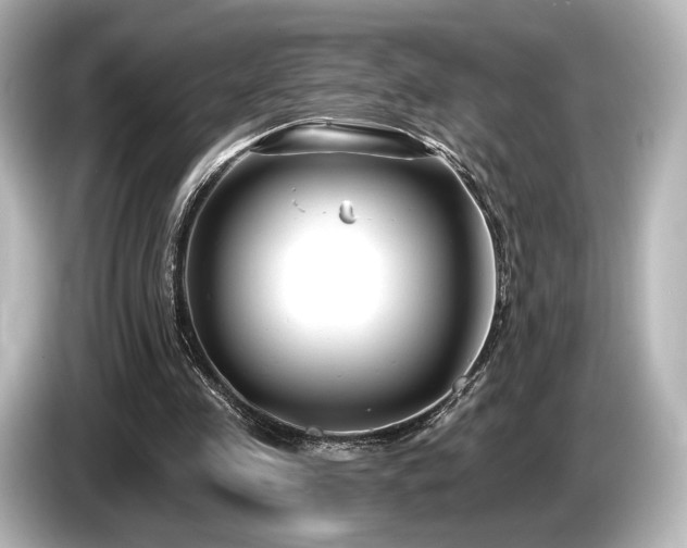 X0000085760341200703161123
