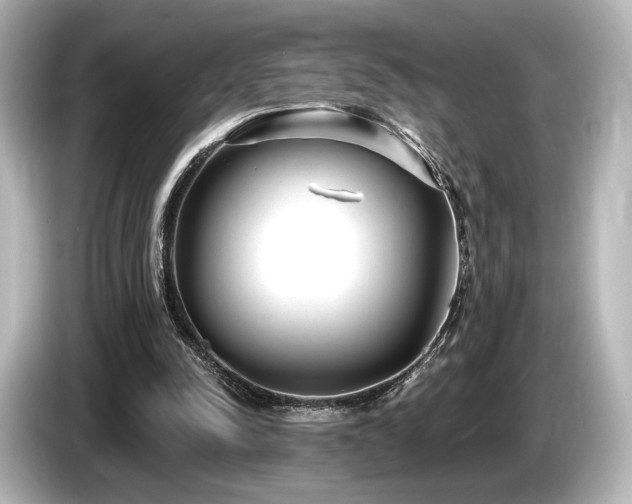 X0000085760342200703161123