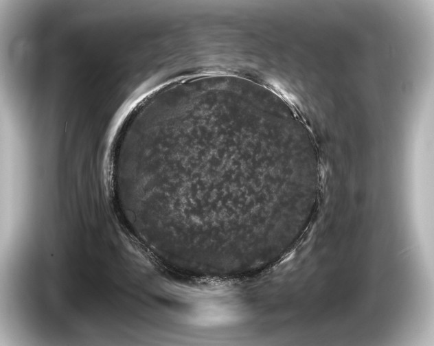 X0000085760343200703161123