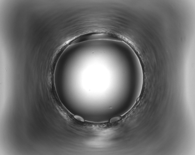 X0000085760345200703161123