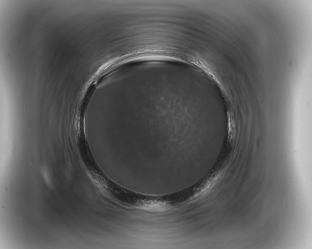 X0000085760348200703161123