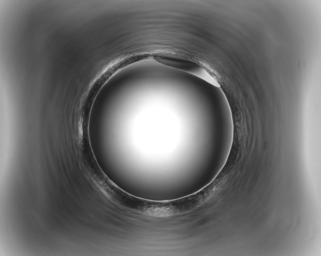 X0000085760350200703161123