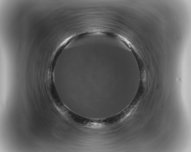 X0000085760352200703161123
