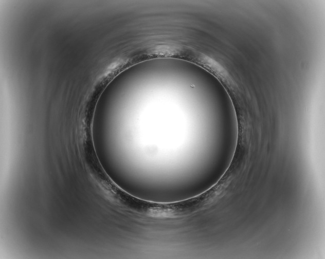 X0000085760354200703161123