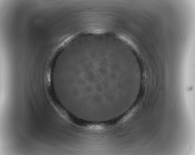 X0000085760358200703161123