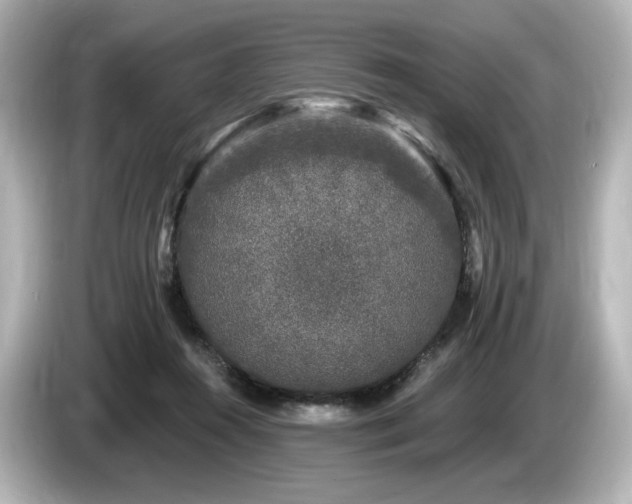X0000085760360200703161123