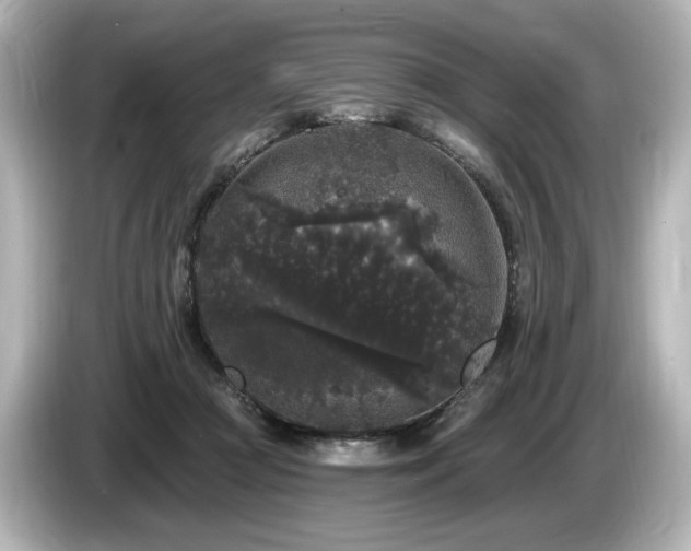 X0000085760361200703161123
