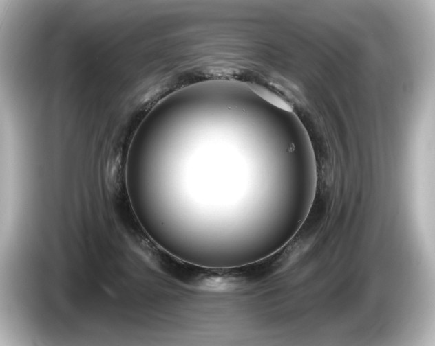 X0000085760364200703161123