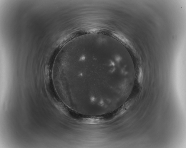 X0000085760366200703161123