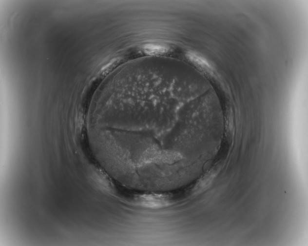 X0000085760367200703161124