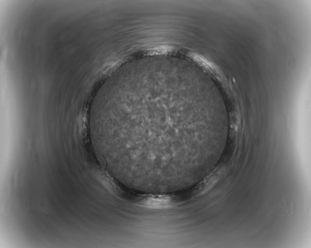 X0000085760369200703161124