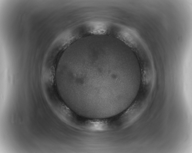 X0000085760370200703161124