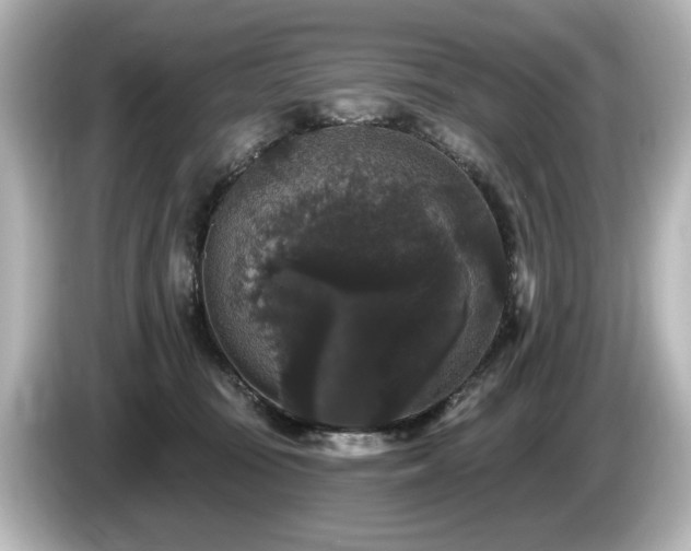 X0000085760371200703161124